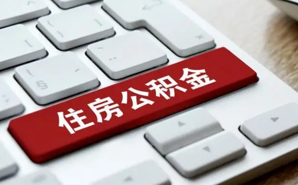 洛阳公积金公司交的部分怎么提取（公积金提取公司缴纳部分）
